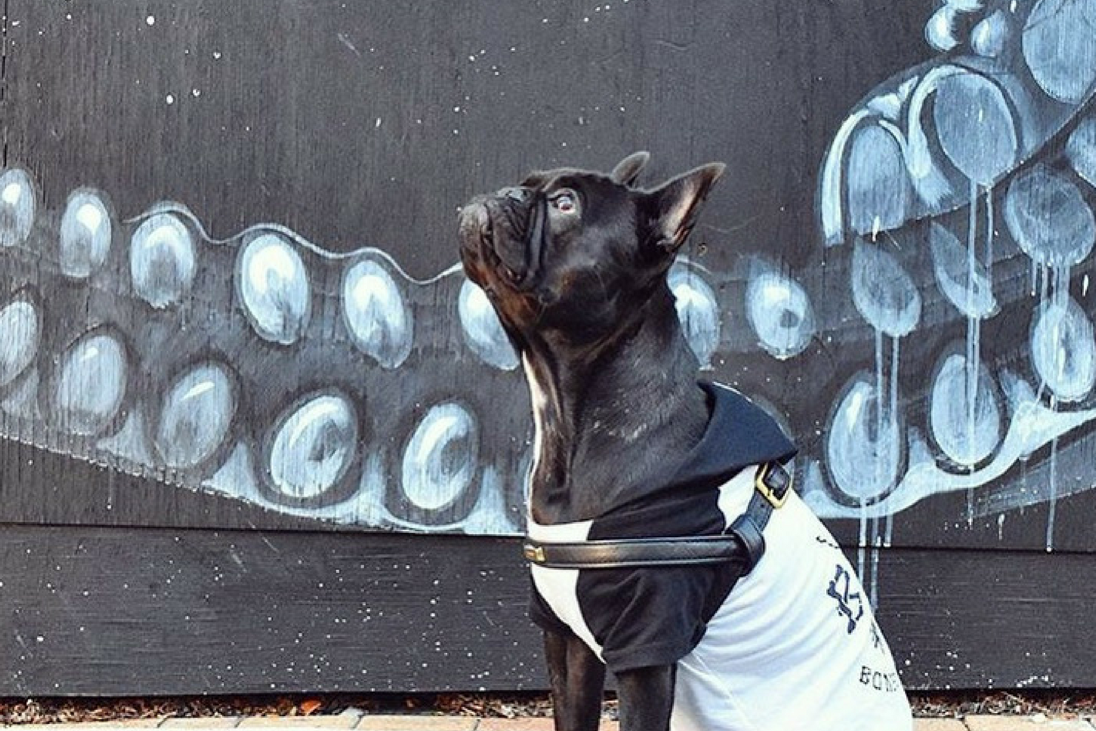 SHOP SMALL BIG REWARD