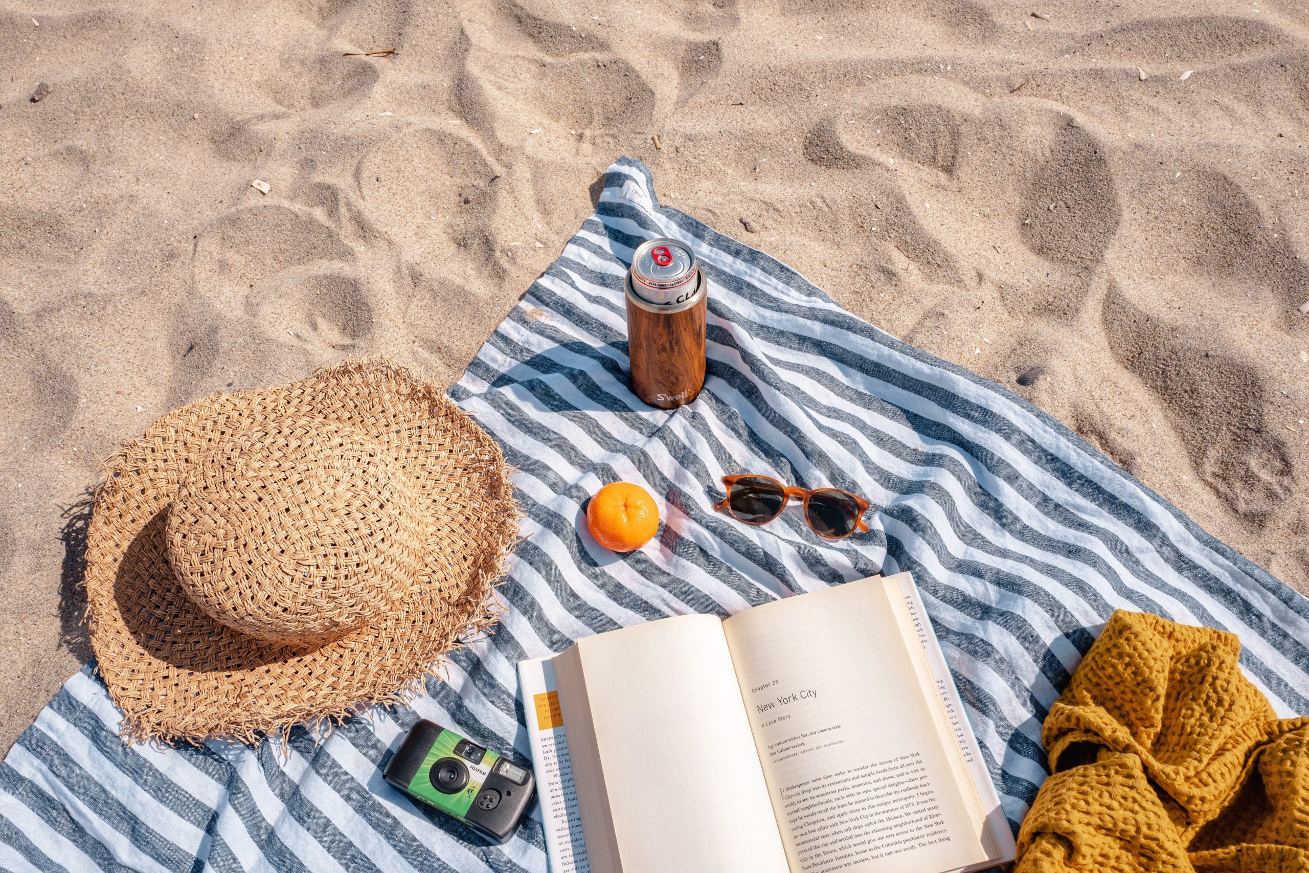 The books in our beach bag this summer
