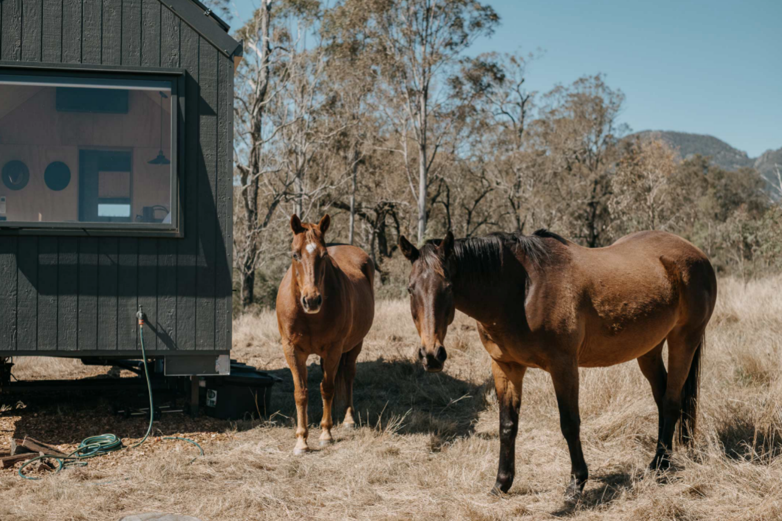 The best glamping in and around the Gold Coast