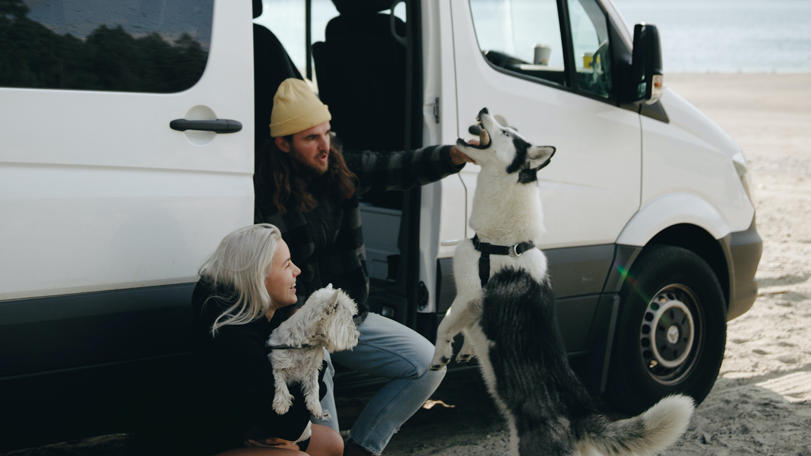 Where to camp with your dog