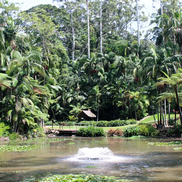 Tamborine Mountain Botanic Gardens
