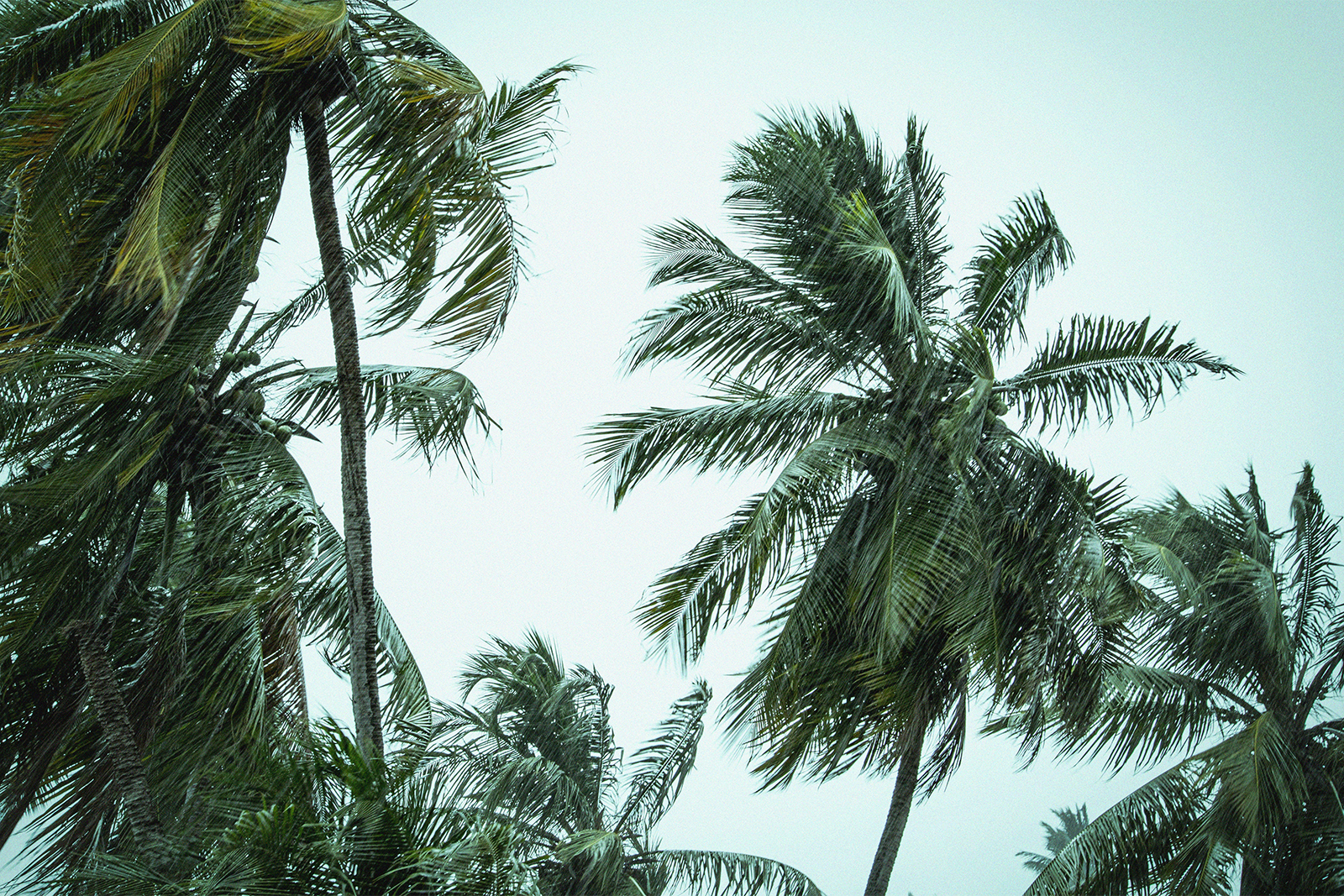 10 ways to stay busy at home during Cyclone Alfred