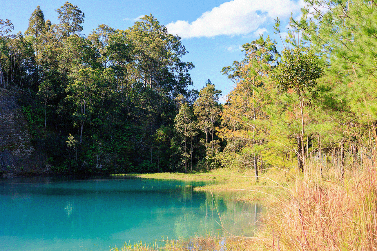 Day trip with us to Bexhill Quarry