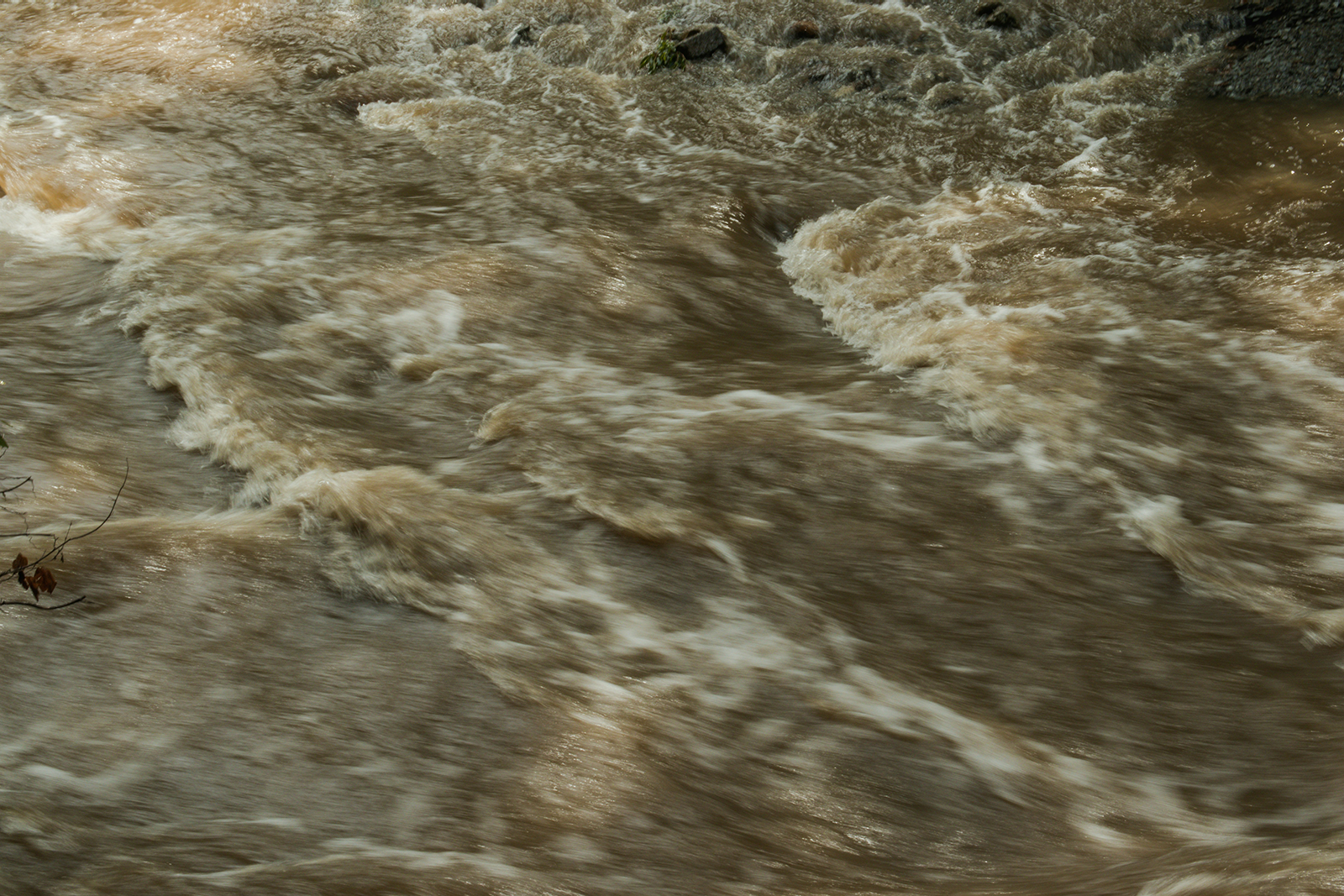 How to support our community after Cyclone Alfred passes