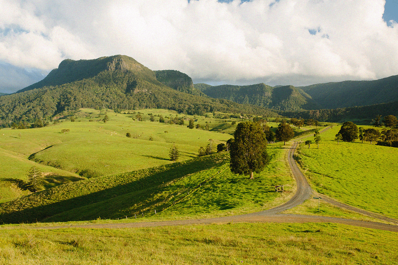 Head west: A country escape in the Scenic Rim