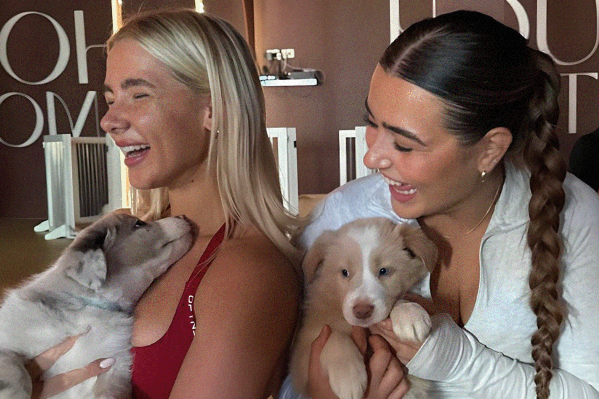 Bend, stretch, bark: The Yoga Paws recipe for success