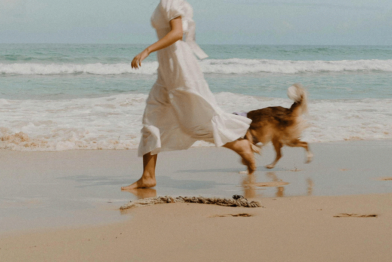 Pet-friendly adventures on and around the Gold Coast
