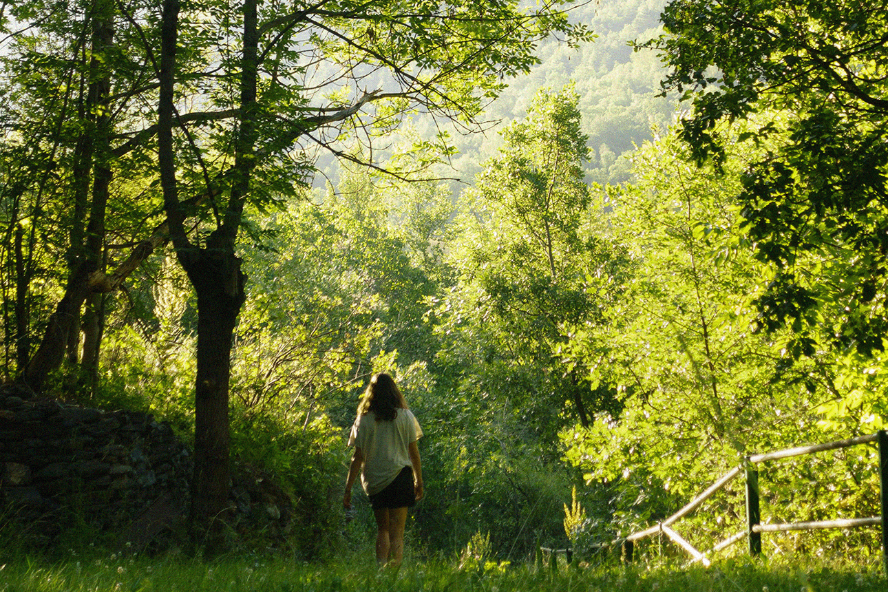 How to get more out of your Gold Coast walks