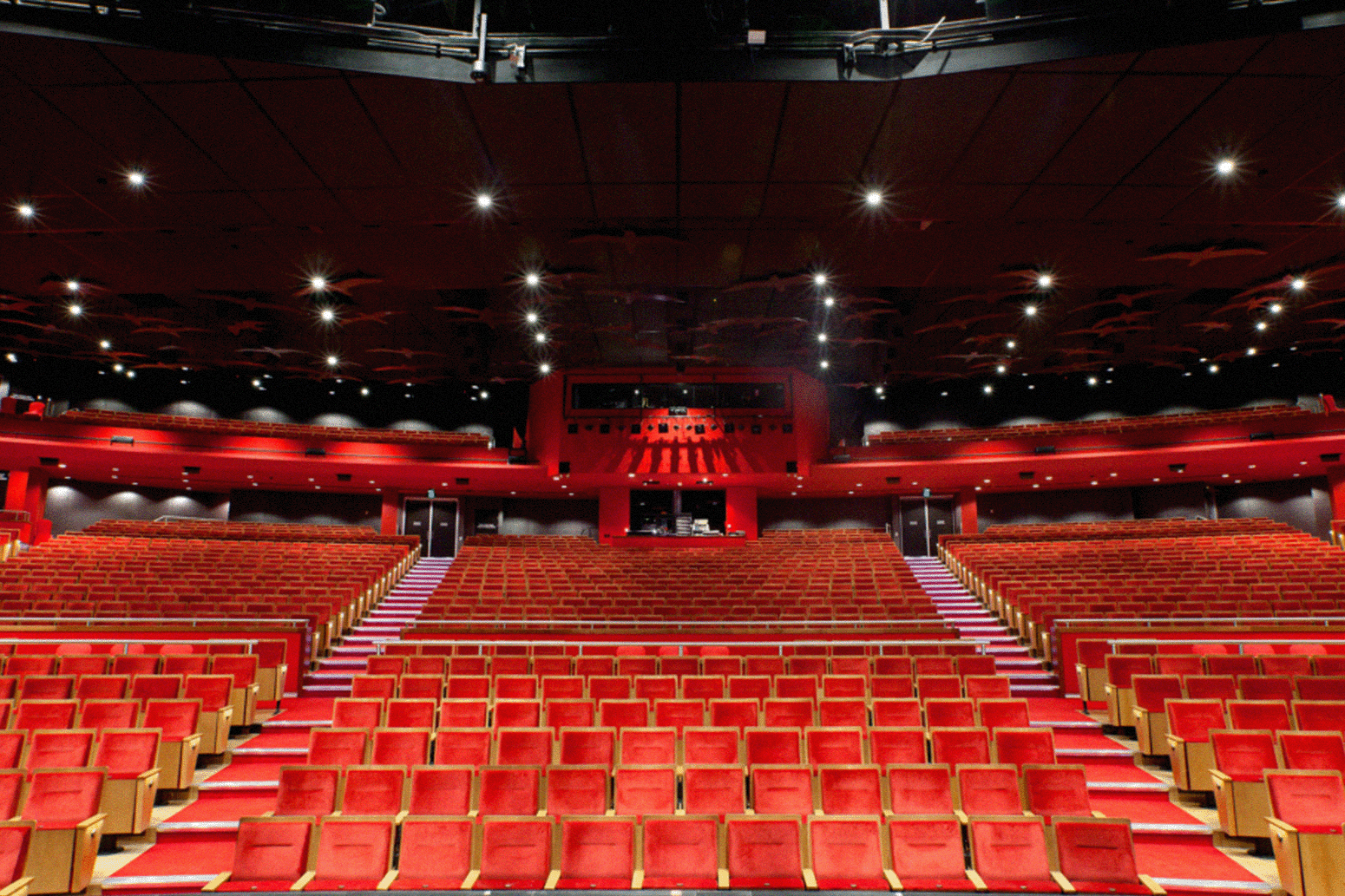 Where to catch a movie on the Gold Coast
