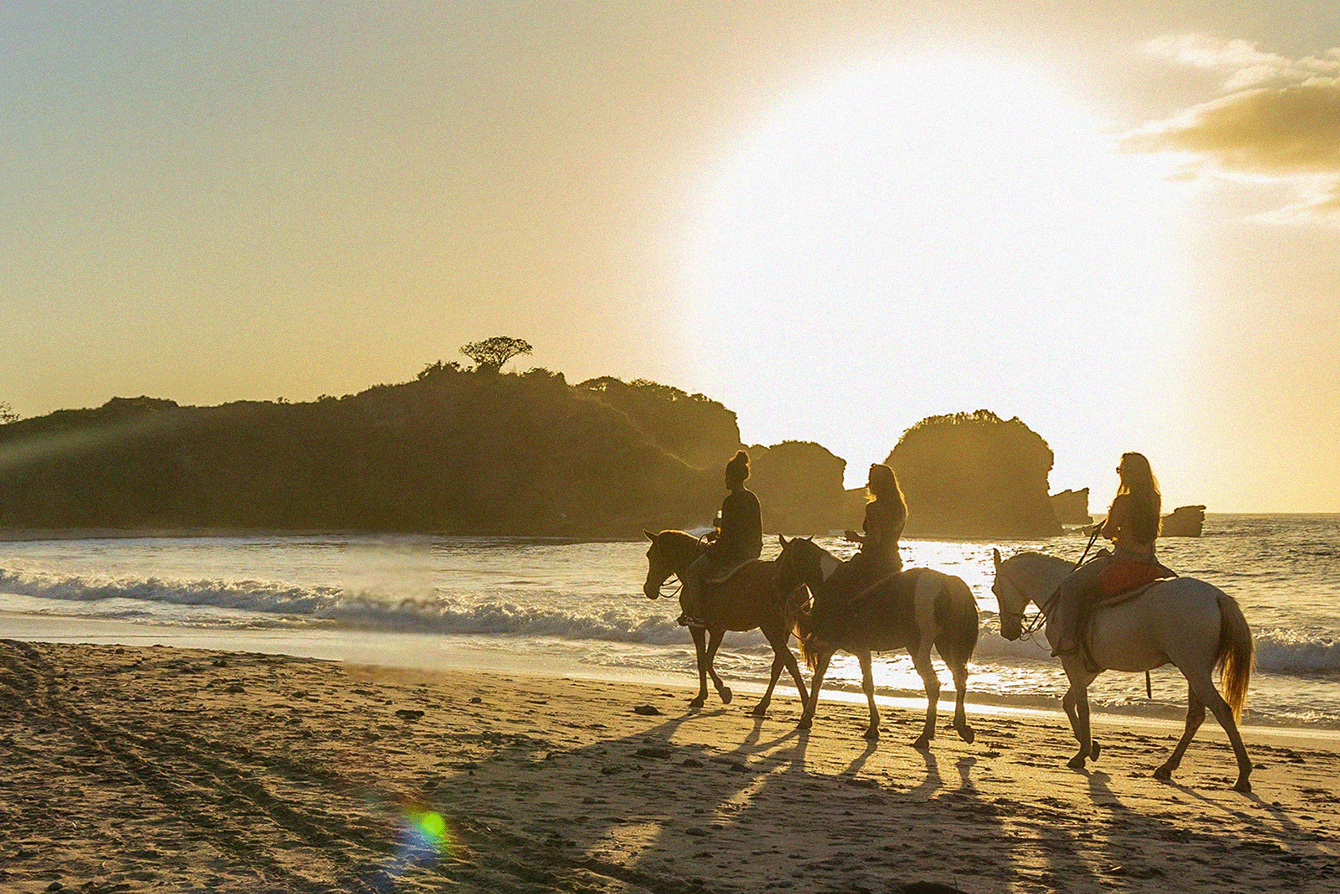 Horse riding near the Gold Coast (for recovering horse girls)